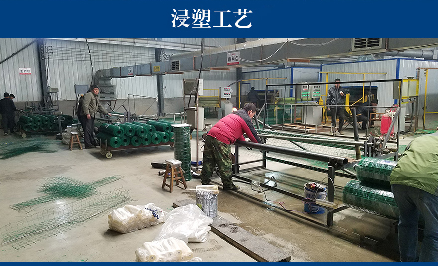 吉林非正常浸塑电焊网